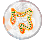 regulaointestino-min